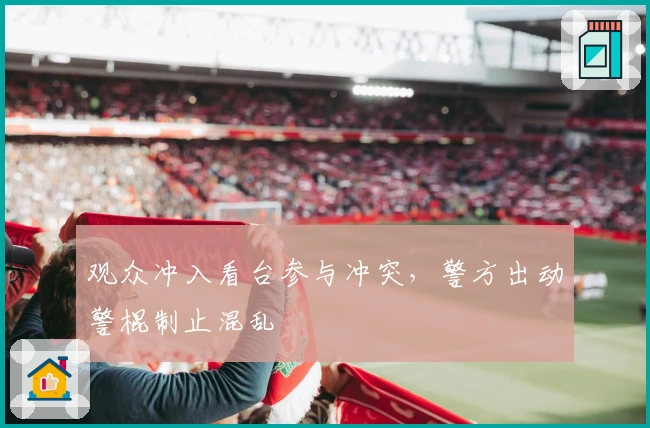 观众冲入看台参与冲突，警方出动警棍制止混乱