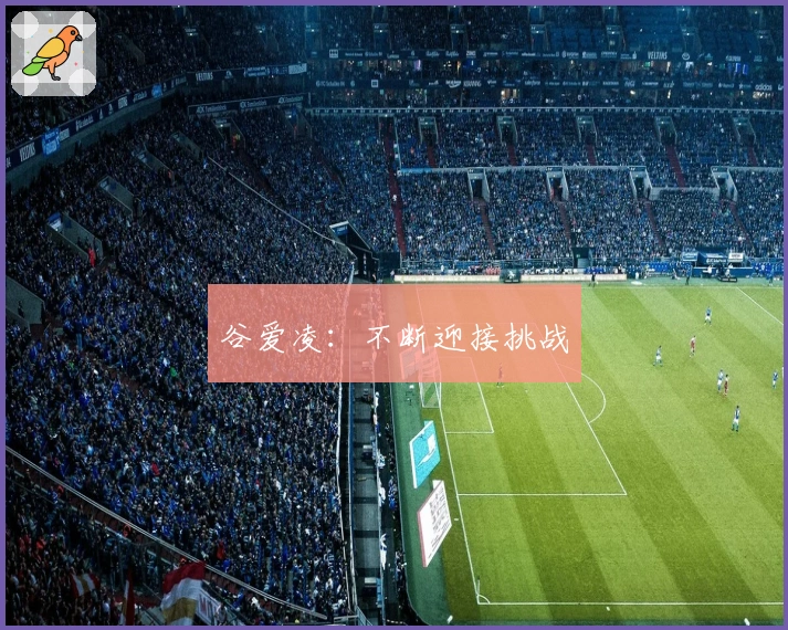 谷爱凌:不断迎接挑战