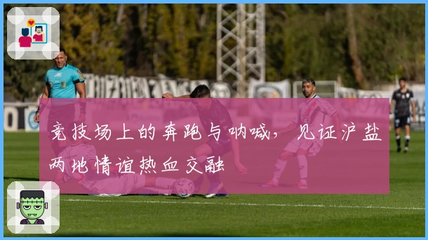 竞技场上的奔跑与呐喊，见证沪盐两地情谊热血交融