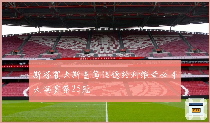 斯塔霍夫斯基笃信德约科维奇必夺大满贯第25冠